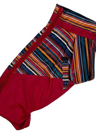 Дождевик для такс девушек радуга mt-25