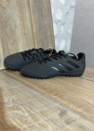 Сороконіжки adidas 40/25см