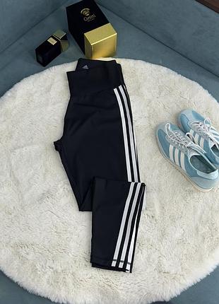 Лосини спорт adidas жіночі л
