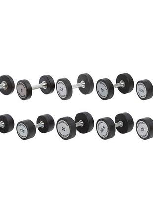 Гантельний ряд technogym tg-2.5-25 кг 10 пар (заг. вага 275 кг)