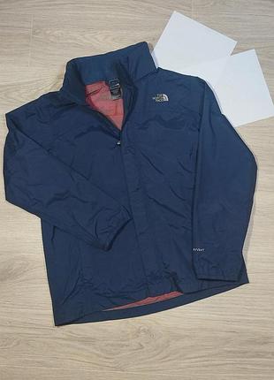 Чоловіча вітровка the north face.