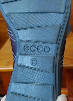 Ботинки кросовки ecco 6