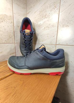 Кожаные кроссовки ecco men's biom hybrid 3