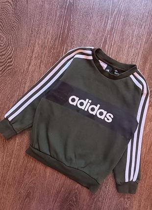 Свитшот adidas
