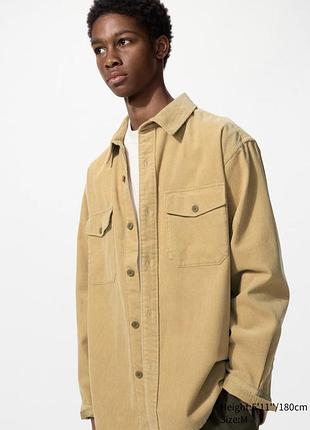 Вельветова сорочка uniqlo corduroy overshirt color: 31 beige