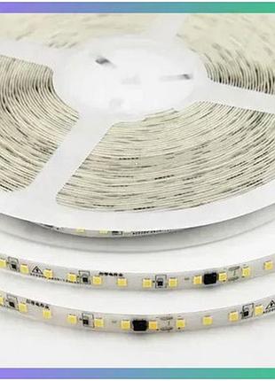 Світлодіодна стрічка biom professional 120-2835 220в 8вт 870лм холодний білий для підсвічування 20м ціна за 1м відвантаження