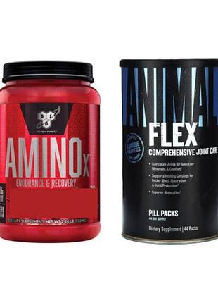 Комплект аминокислота bsn amino x 1.01 кг фруктовый пунш + хондропротектор animal flex 44 пак (236696)