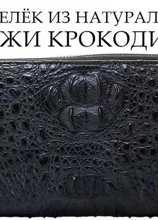 Гаманець кошелек кожа кожаный крокодил