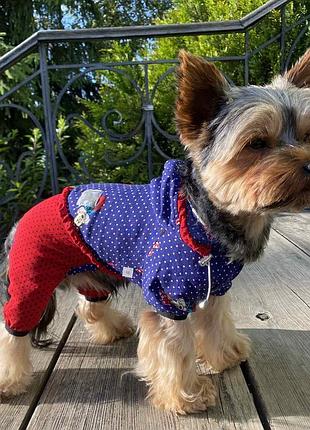 Dog style • летние комбинезоны для собак s1