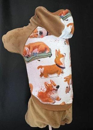 Dog style • летние комбинезоны для собак l