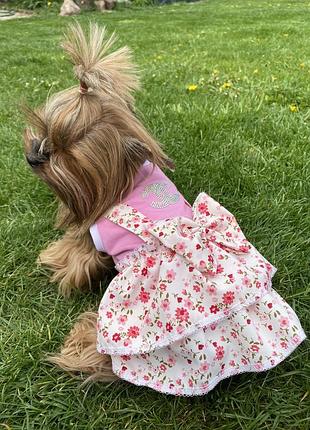 Летнее платье для собаки xs