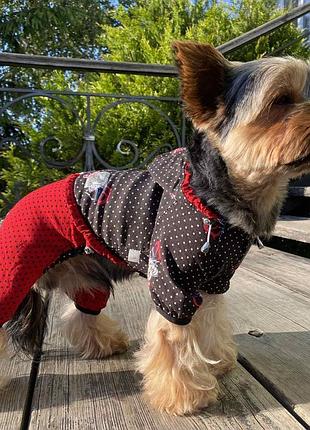 Dog style • летние комбинезоны для собак m1