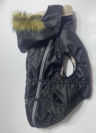 Dog style - зимовий комбінезони для собак