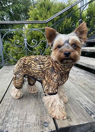 Dog style • летние комбинезоны для собак l