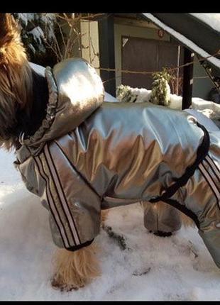 Dog style - зимовий комбінезони для собак