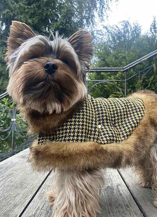 Dog style - зимовий комбінезони для собак