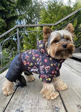 Dog style -зимовий комбінезони для собак