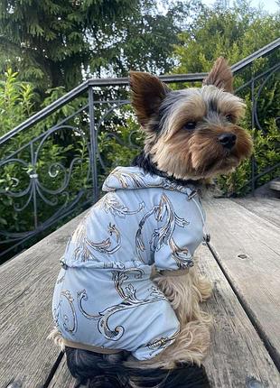 Dog style • летние комбинезоны для собак xs1