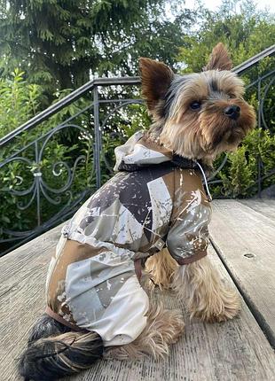 Dog style • летние комбинезоны для собак m