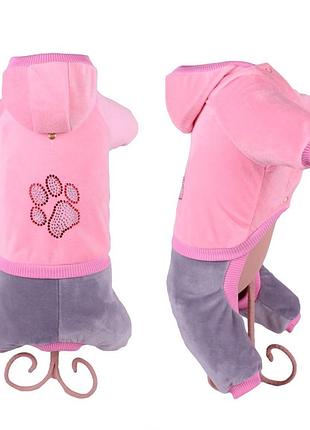 Dog style • летние комбинезоны для собак m1