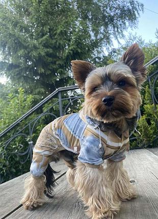 Dog style • летние комбинезоны для собак xl