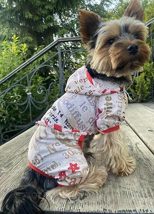 Dog style • летние комбинезоны для собак s1