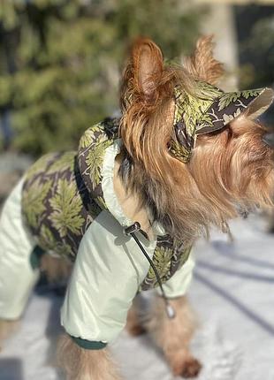Dog style • зимний комбинезоны для собак xs