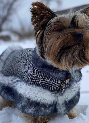 Dog style -зимовий комбінезони для собак