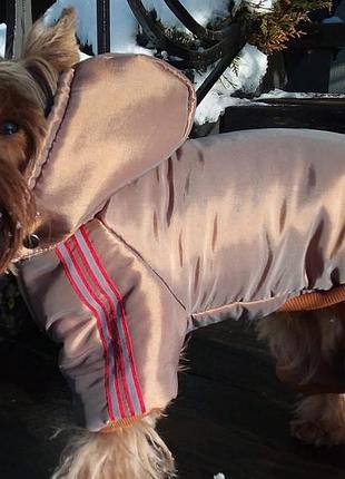 Dog style - зимовий комбінезони для собак