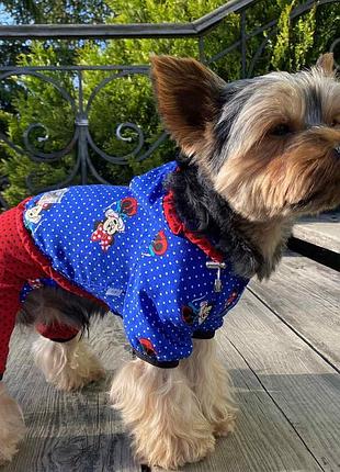 Dog style • летние комбинезоны для собак m2