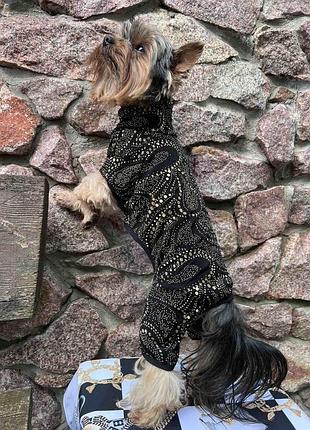 Dog style • летние комбинезоны для собак m