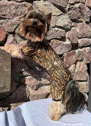 Dog style - літні комбінезони для собак