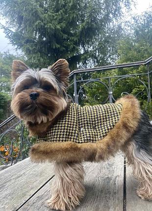 Dog style - зимові капона для собак