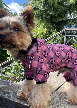Dog style - літні комбінезони для собак