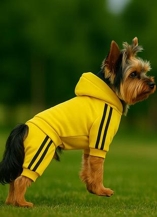 Dog style - літні комбінезони для собак