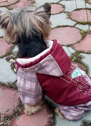 Dog style - зимовий комбінезони для собак