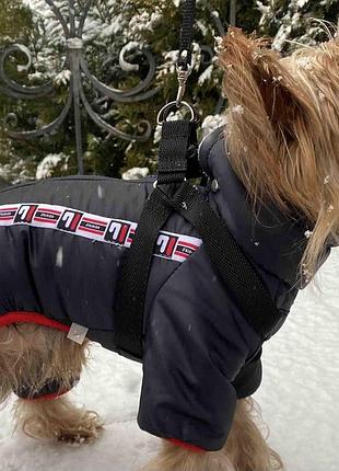 Dog style - зимовий комбінезони для собак
