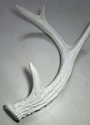 Білий оленячий ріг, імітація, canadian antler designs. новий!