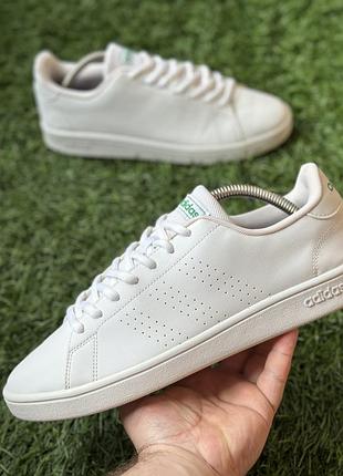 Мужские кроссовки adidas advantage base white