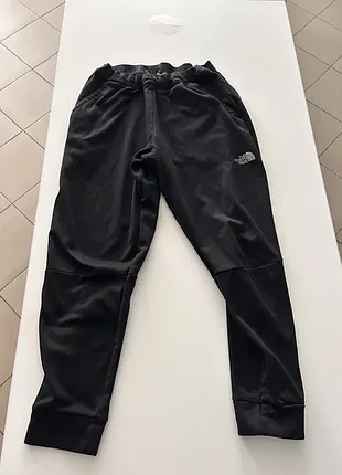 Штани the north face