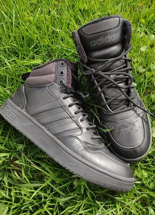 Кросівки чоловічі adidas hoops 3.0 mid winterized black gw6421