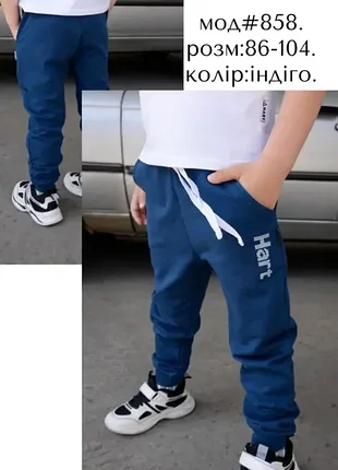 Детские спортивные штаны. унисекс. hart. 98