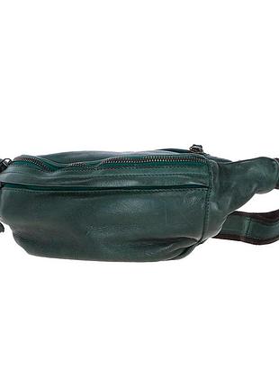 Сумка на пояс ashwood d102 (green)