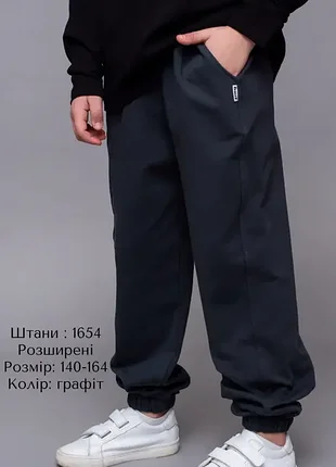 Подростковые спортивные штаны. двунитка. графит. 146-164 hart