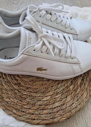 Белые кроссовки lacoste