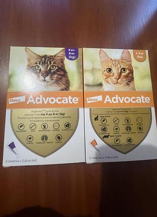 Краплі на холку для котів elanco bayer advocate