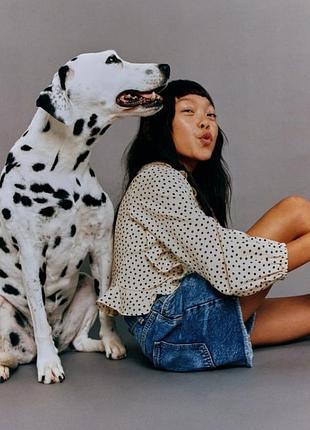 Прикольная блуза zara 7