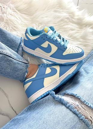 Nike dunk low coast 6