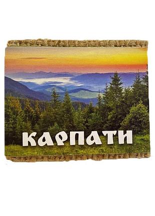 Магнит карпаты №6 (магниты)