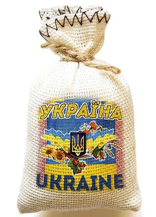 Магніт-торбинка україна 1178-45 (магніти)